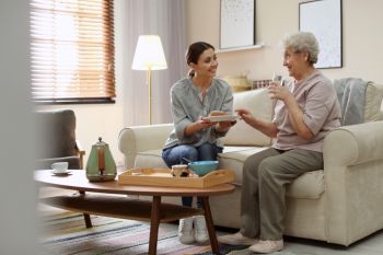 Respected Home Care Franchise in VA