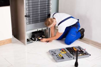 Successful Appliance Repair Business in FL